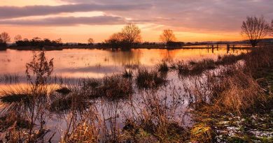 North Sedgemoor Local History Group