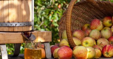 Westcroft Cider Farm, Brent Knoll