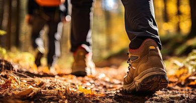 Sedgemoor Ramblers