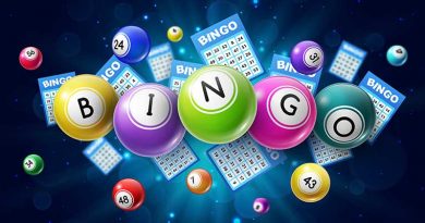 Cash Bingo at Berrow Village Hall