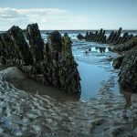 Berrow Conservation Group