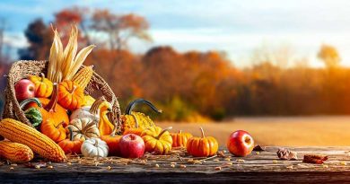 East Huntspill Harvest Supper